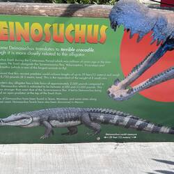 This is what the farm is all about