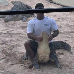 Sorry about the fence...