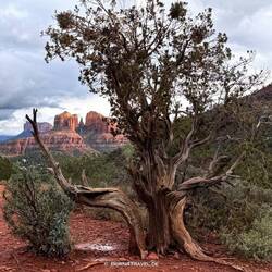 Lover's Knoll Lookout
