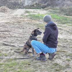 "Wirf endlich den Futtersack!"