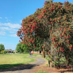 Lekker weer om te wandelen. Weer andere route