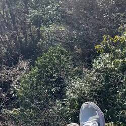 Längste Seilbahn der Welt zum Tempel