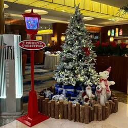 Ach Gottchen 🤩 s' ist bald soweit! Endlich mal Chinaware im Einsatz wo sie herkommt! 😁