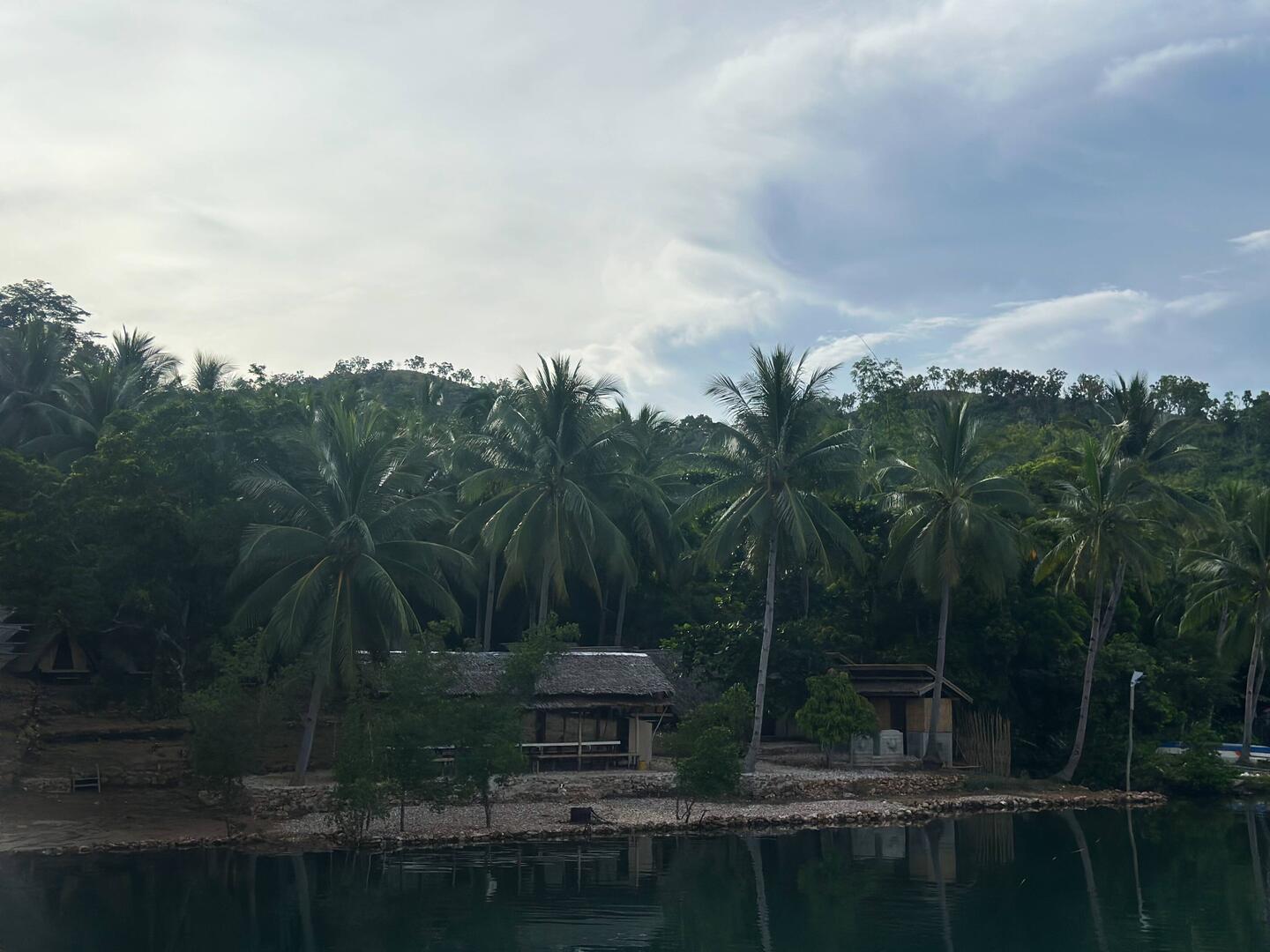 Tschüss Dschungel 😅