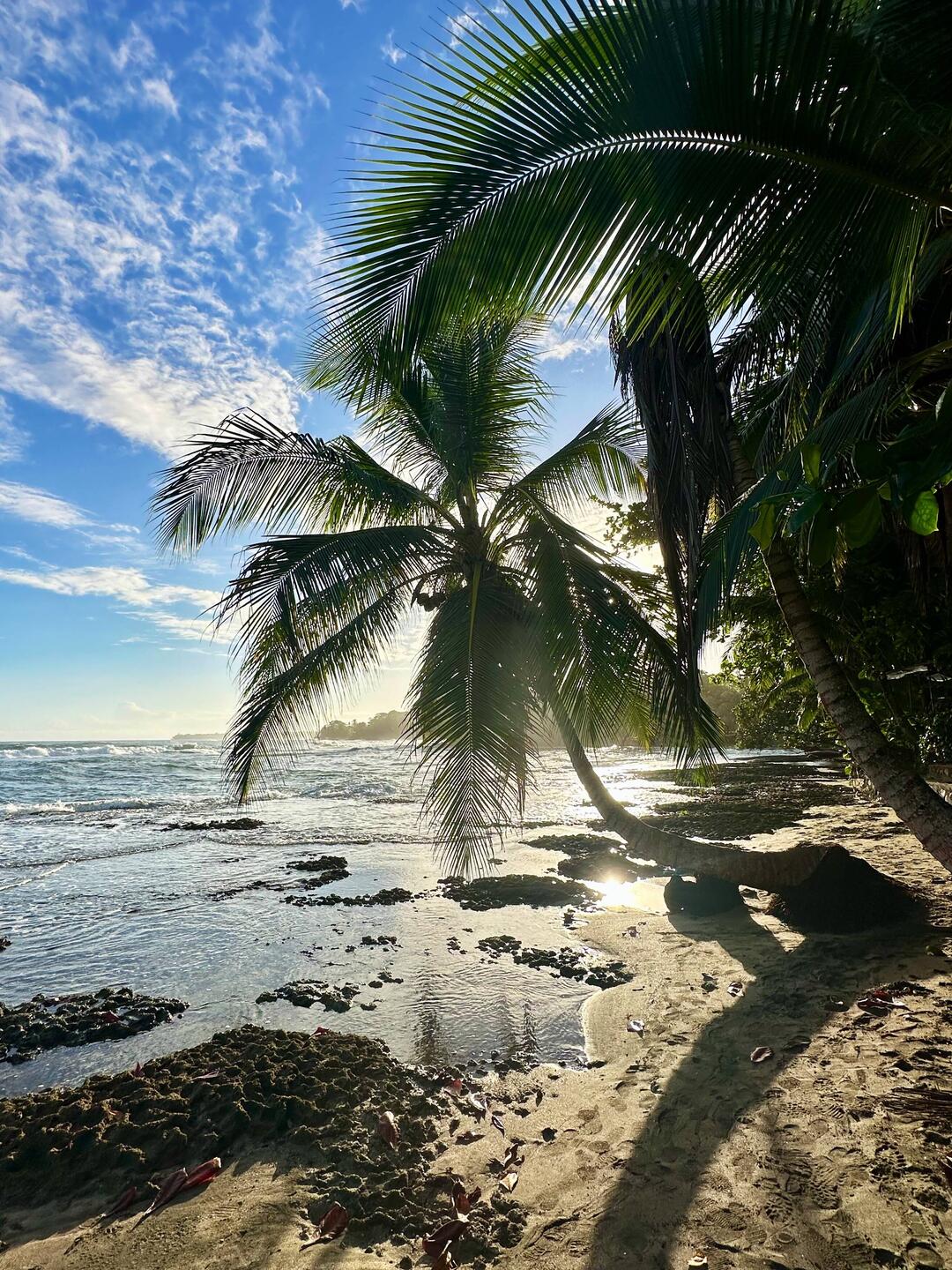 Koralliger Strand