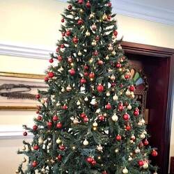 Ja, ist denn heut schon Weihnachten? ... Im Oman hätte ich das nicht erwartet.