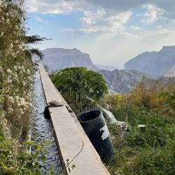 Ausgeklügelte Bewässerung