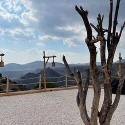 Auf dem Sayq Plateau