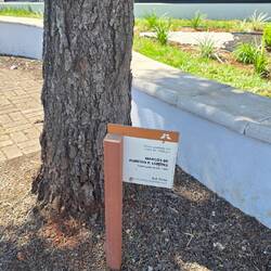 Für jeden Angestellten pflanzten sie einen Baum.