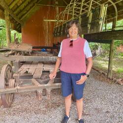 Moi plus ancient wagons