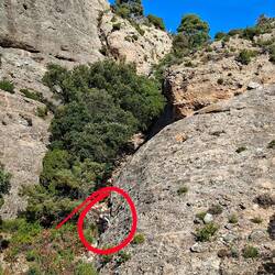 Franci a conservé aujourd'hui son titre de championne du monde du hors piste 😉