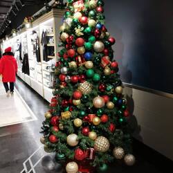 Weihnachtsbäume überall... (na ja, ist noch leicht übertrieben)