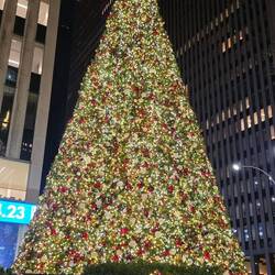 Überall schon Weihnachsdekoration