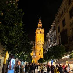 The big tower is the Giralda, the former minaret and now bell tower at the catedral.