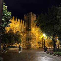 Walls of the Real Alcazar (royal palace)