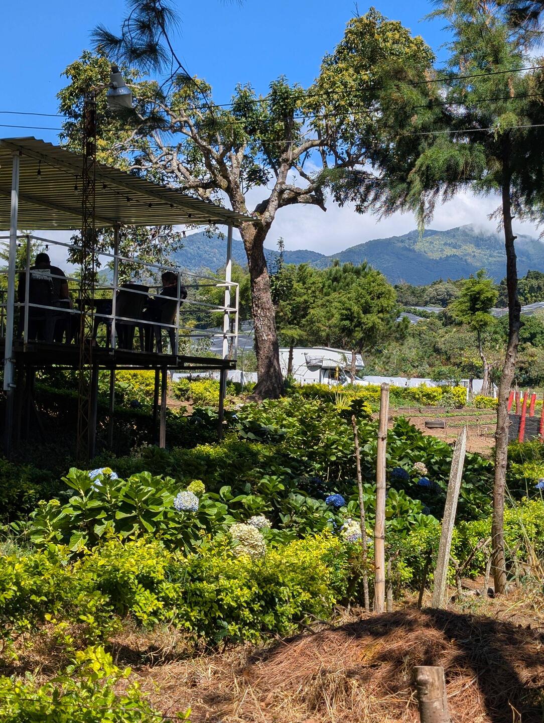 Ein letzter Blick zurück