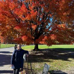 Im Central Park