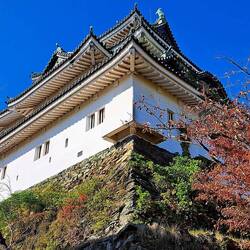 Wakayama Castle.