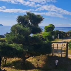 Entrance to Banndoko Garden.