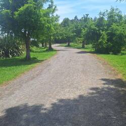 Easy walking!
