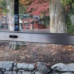 Blick aus dem Busfenster in Koyasan: Riesenzedern und Schreine