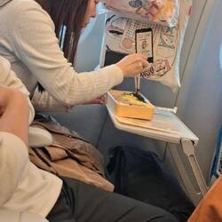 Im Shinkansen darf gegessen werden- hier eine Bentobox.