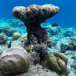 Unter Wasser ist der Himmel blau 🫣