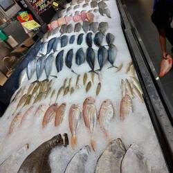 Frischen Fisch gibt's auch