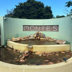 Sightseeing in Monte's