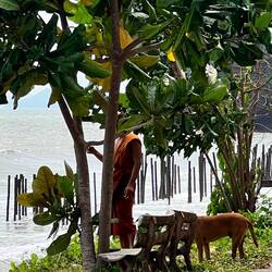 Ein Mönch macht Pause