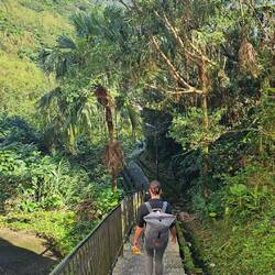 Auf dem Weg zum Golden Waterfall