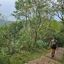 Steiler Anstieg - natürlich über Treppen
