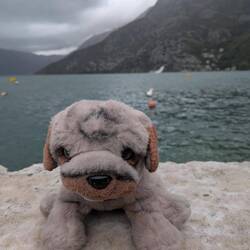 Hammers my riding partner