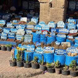 Hier die Ergebnisse neuester Züchtungen: Anti Cholesterin, Anti Stress, Viagra Turbo ...