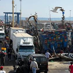 Hier werden die großen Fischkutter entladen, direkt mit Eis in die LKWs