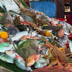 Wir kaufen den schönen lachsfarbenen unten links für 40 MAD (4€) und ...