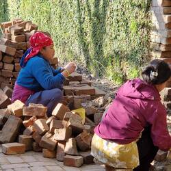 Ladies cleaning the old bricks to rebuild a wall.