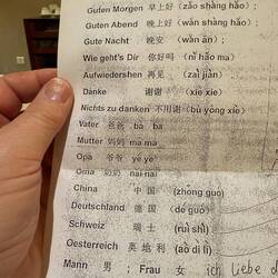 Chinesisch für Anfänger. Walter meinte mir eine Lehrstunde geben zu müssen auf der Fahrt zur Mauer.