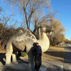 Tagschichtleiter (stehend) der Kamel Garde.