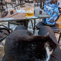 Sometimes when you travel you need a friend