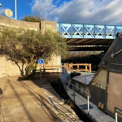 Liegeplatz mit Olivenbaum