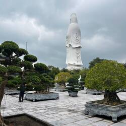 Falk "Schau mal Lady Buddha hat Fenster im Arsch"