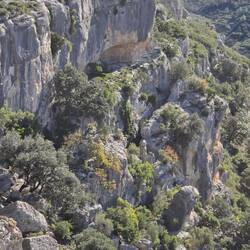 Links hinten sieht. Man die große Höhle, war aber heute zu