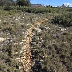 Manchmal schon steinelich🫡