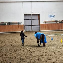 Gewöhnung an Ungewöhnliches