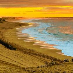 gemeinsam auf der Düne