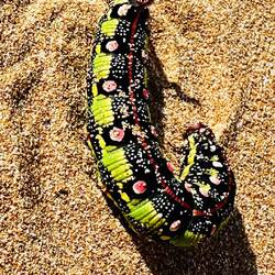 Was da wohl draus wird?