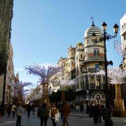 Looking down Avenida de Constitución