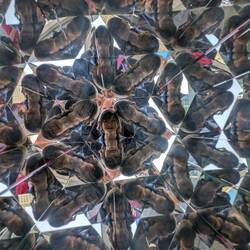 Fun playing outside the Museum of Illusions.