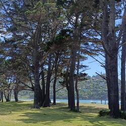 Magnifique parc le long de la plage